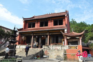 噪音插曲：随机广告