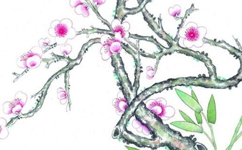 属羊人2026年感情运势中桃花会怎样？