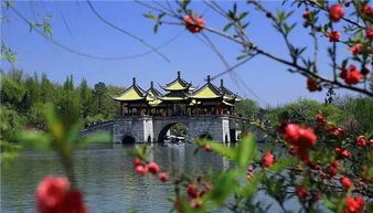 一、扬州：早起的鸟儿有虫吃…或着被蚊子叮