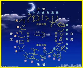 星宿与生肖的乱炖