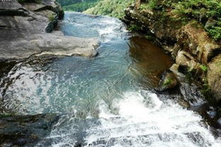 家用黄泉水风水禁忌,家用黄泉水风水禁忌有哪些
