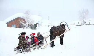 滑雪乐园，激情四溢：速度与激情的碰撞！