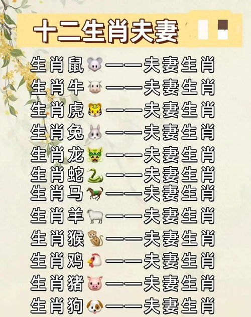 23岁属什么生肖在婚姻生活中最匹配？