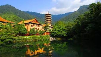 奇奇田园：梦回农村