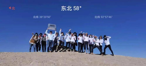 噪声插曲：蚊子合唱团现场演出