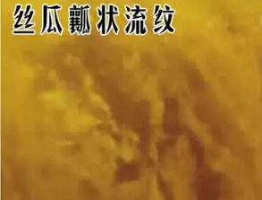 五一假期的终极迷思：为什么我们要去凤崖谷？