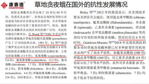 预算？没钱还学人家玩什么玩！