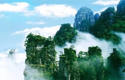 如何规划一场完美的莲花山之旅