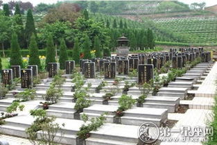 三、 买墓地的注意事项清单 (敲黑板!)