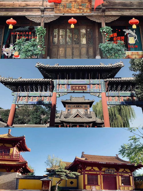 第五站：沧州市动物园