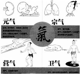 两气专旺,两气和八气有什么不同