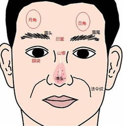 六、左边较浅抬—沉着而乐观的人生哲学思想？