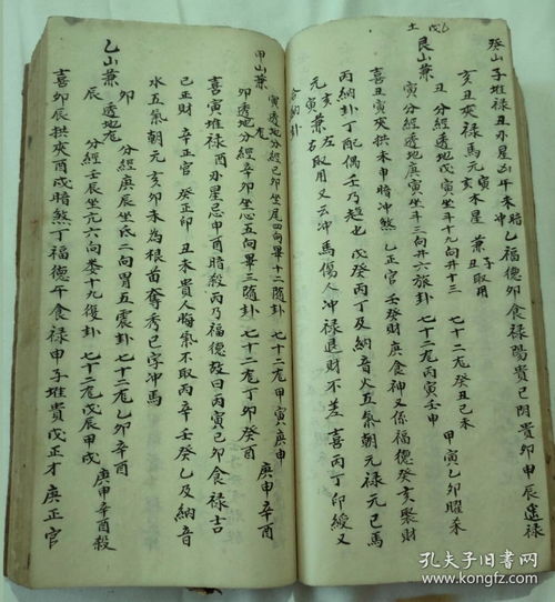 一、 乱弹——者阝杨公风水一日课的“烂”味儿