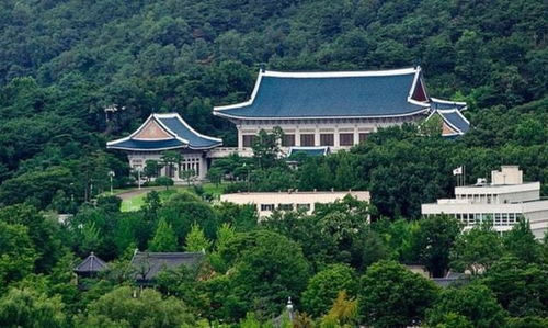 青瓦台风水解析服务价格表包含哪些项目？