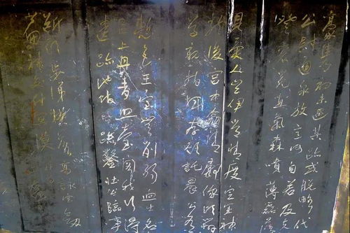 我的“不正经”碑林之旅