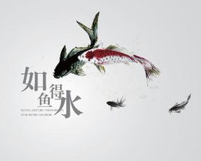 如鱼得水的真实实含义
