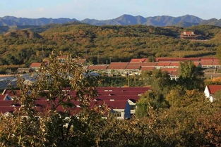 村</div><footer class=