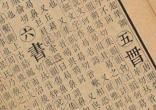 近现代化那一些闪耀星光较大道上的舒氏人物