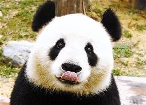 价格背后的秘密：800块一条的是啥情况