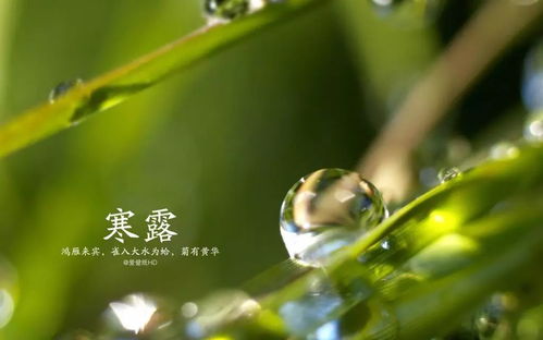 寒露风水禁忌,寒露节气有什么讲究