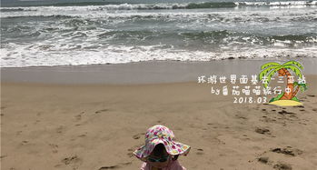 门票怎么买？听说要先把钱放进盒子里再往前走