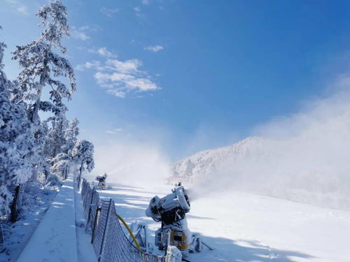 冬日庐山滑雪 vs 周末童话之旅——到底哪个梗值得去？