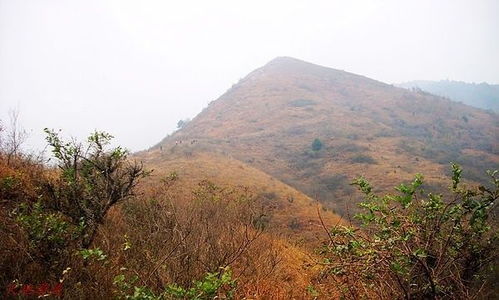 汉中连城山,汉中连城山与鸡头关