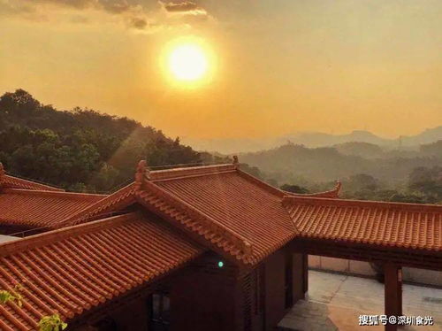 第一章：那些让我想砸相机的