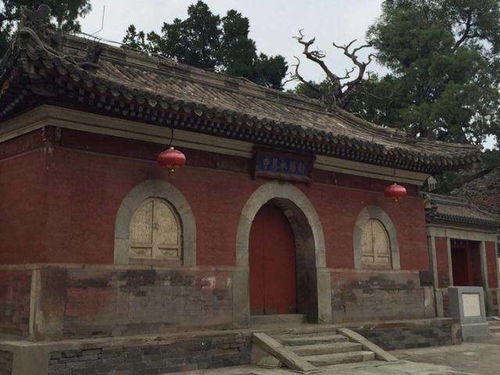 四、杂七杂八的噪音插曲 (不要问我为哪些)