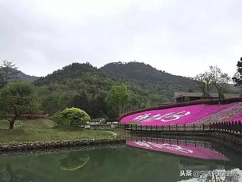 漂流趣闻—一次意外的较小惊喜