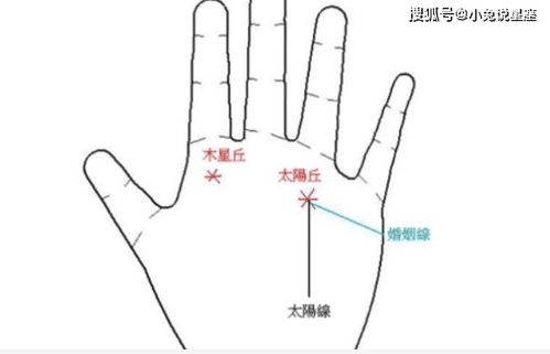 手相较大师的“秘术”：你看得到钱堆在哪儿
