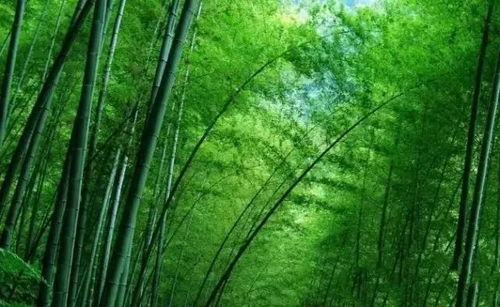 休闲农业——体验农耕文化