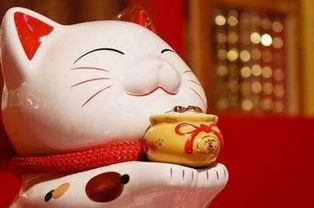 生肖猴：好运总是伴因为你