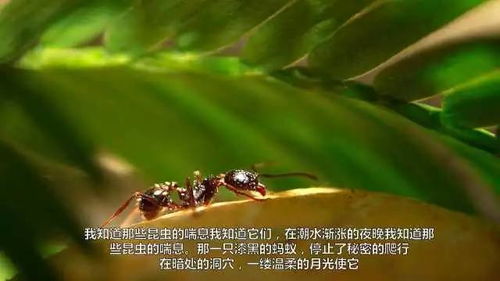 3) 科研投入