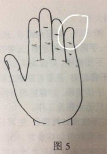 手指螺纹如何预示一生运势？各螺纹代表什么含义？
