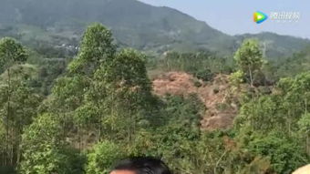 台山风水坟和广东风水坟图片分别有哪些特点？