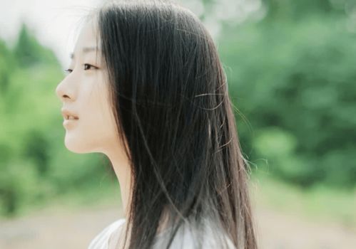 他们的爱情故事