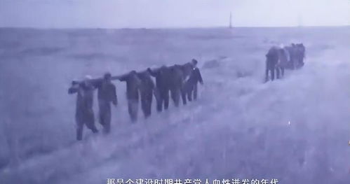 五行相克：金木水火土与巨兽命理