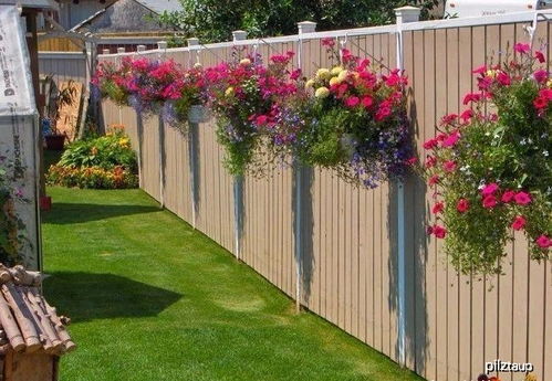 围墙内种什么花对风水有好处,围墙内种树影响风水吗