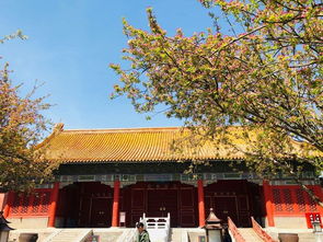 汉至孝广文王祠——设施新全， 免费老年人专场