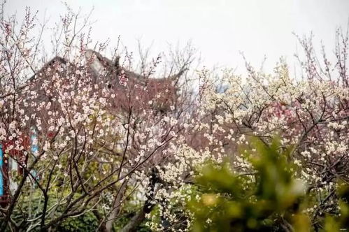 为什么说这个地方“烂”但又“不烂”呢？