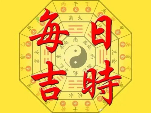 属龙的：装逼犯集中营