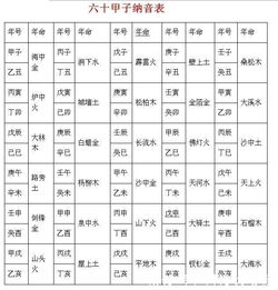 天干地支的阴阳属性