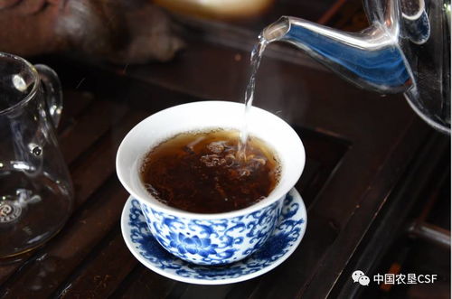 易贡茶的奇葩起源：高原在喘气