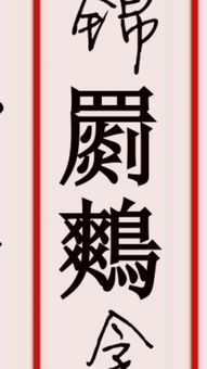 译字取名凶吉，粤语译字怎么读，改写为长尾是？