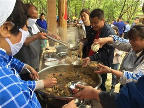 博爱县城：被严重低估的宝藏