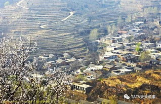 Tai'an City Wall Walk：步行穿越千年