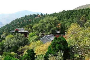 第一站：云龙山森林公园（据说有风）