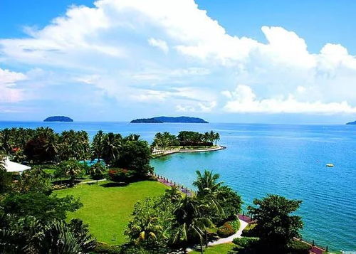 第五天：萤火虫，浪漫还是喂蚊子？