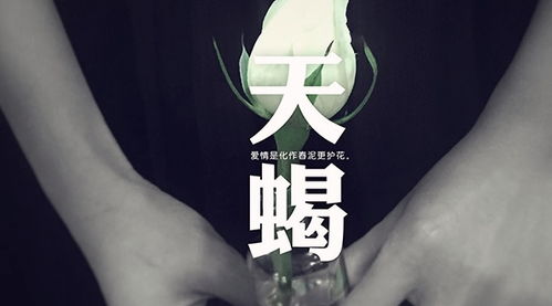 那些为爱痴狂的星座，等得花儿都谢了！